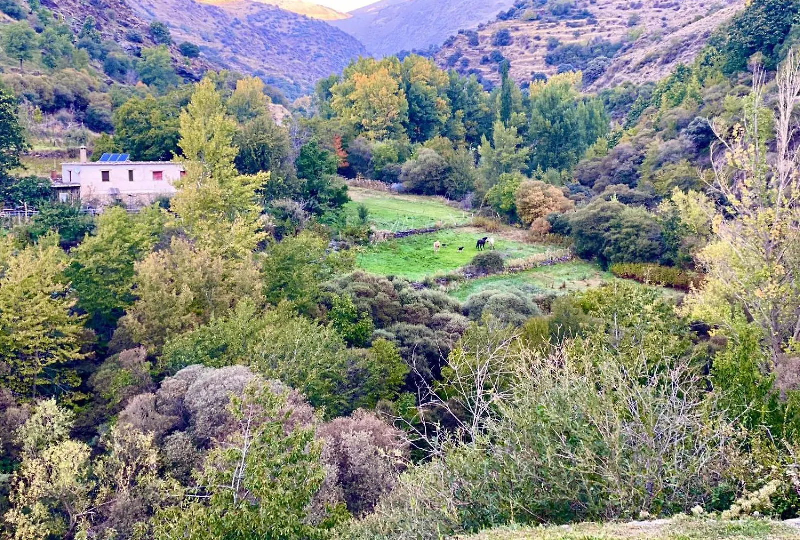Chalet Casa Rural Cortijo Molino Altero Trevelez