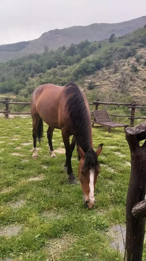 Domek alpejski Casa Rural Cortijo Molino Altero Trevélez