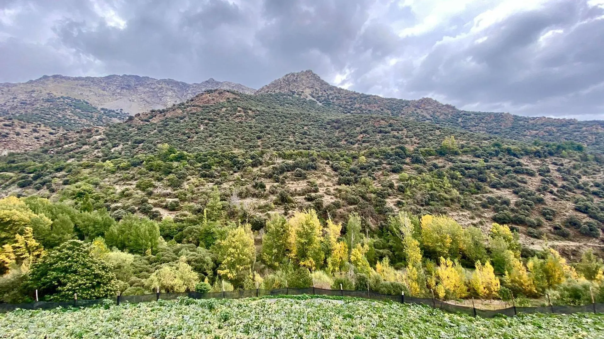 Casa Rural Cortijo Molino Altero Trevélez Domek alpejski